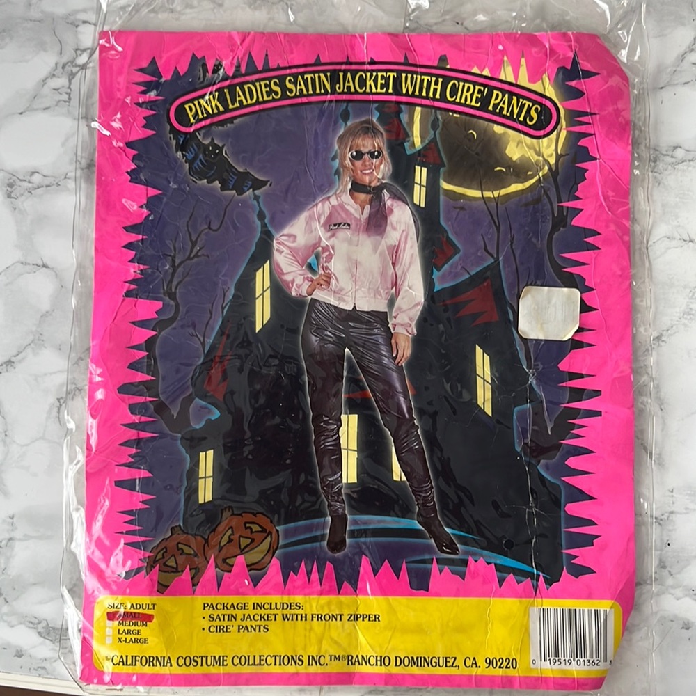 Pink Ladies Grease Halloween Adult Costume